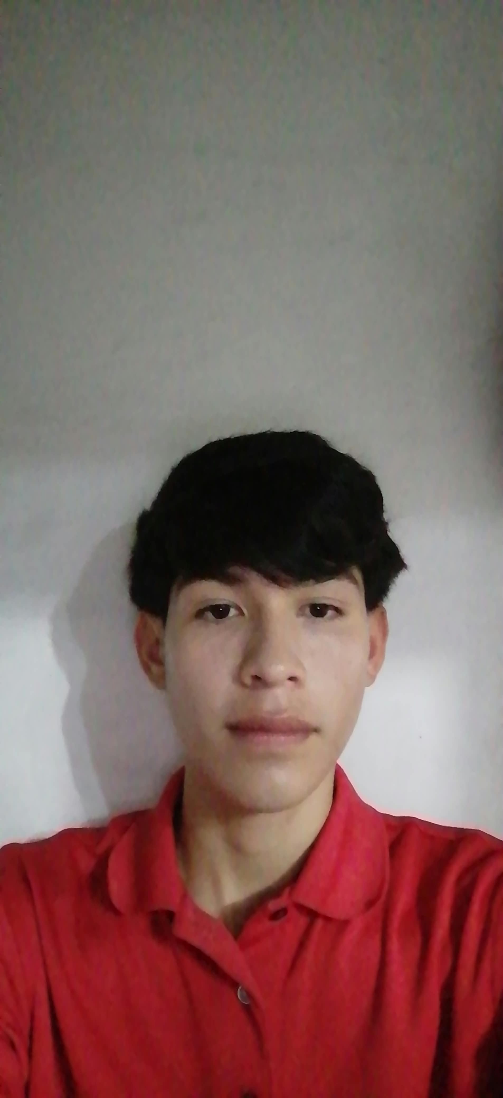 ANDRES LEONEL CASTAÑON RAMOS